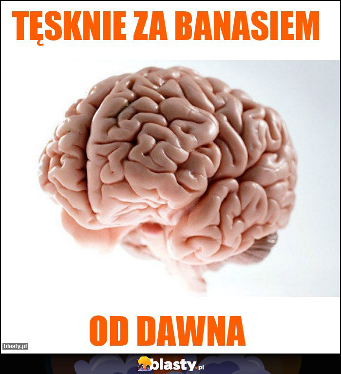 Tęsknie za Banasiem