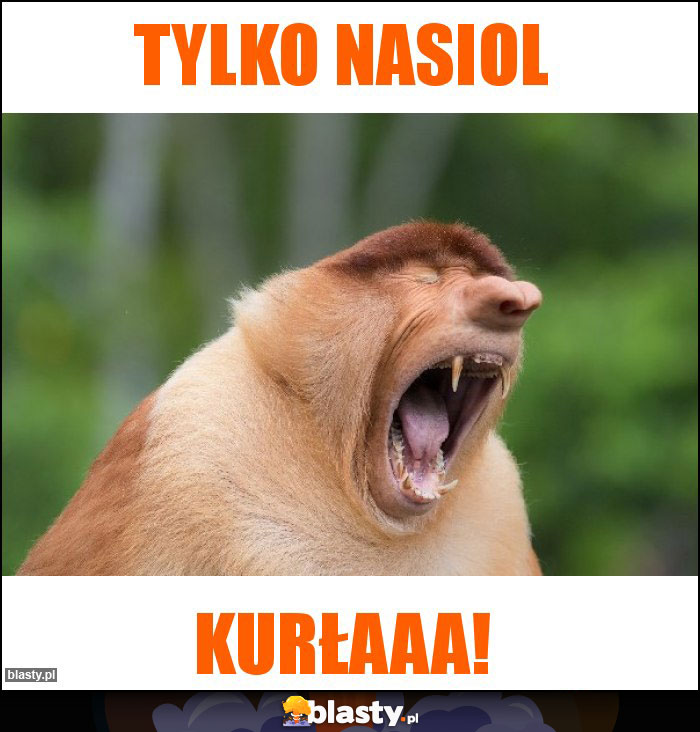 Tylko nasiol