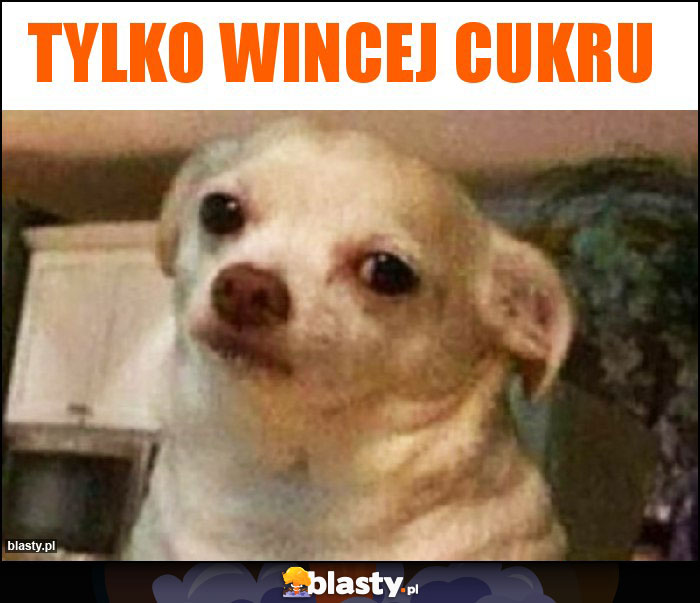 Tylko wincej cukru