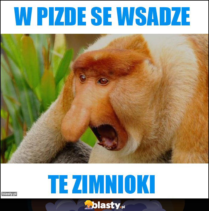 W PIZDE SE WSADZE