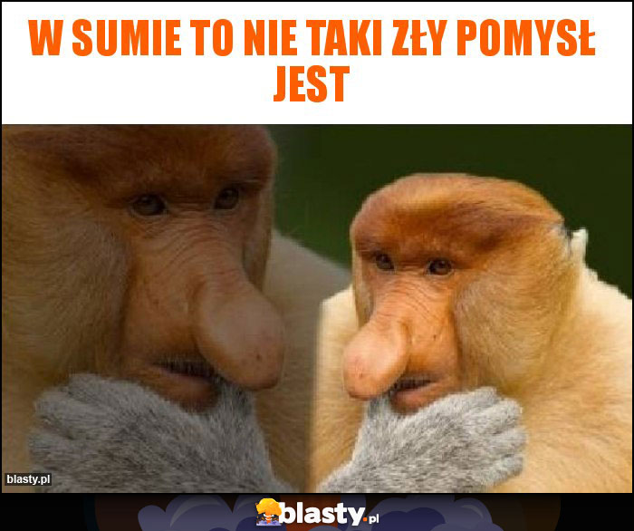 W sumie to nie taki zły pomysł jest