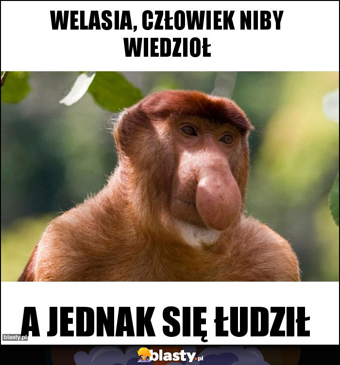 Welasia, człowiek niby wiedzioł