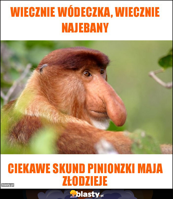 Wiecznie wódeczka, wiecznie najebany