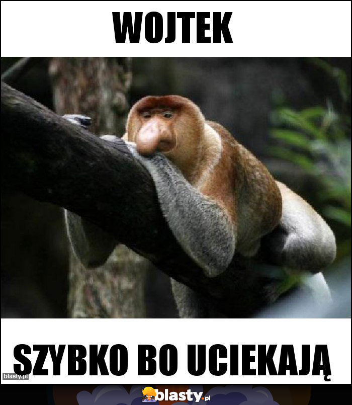 Wojtek