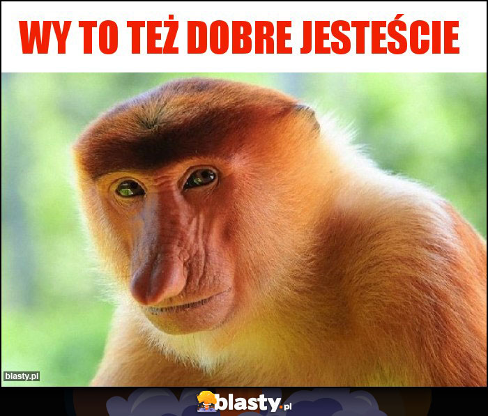 Wy to też dobre jesteście