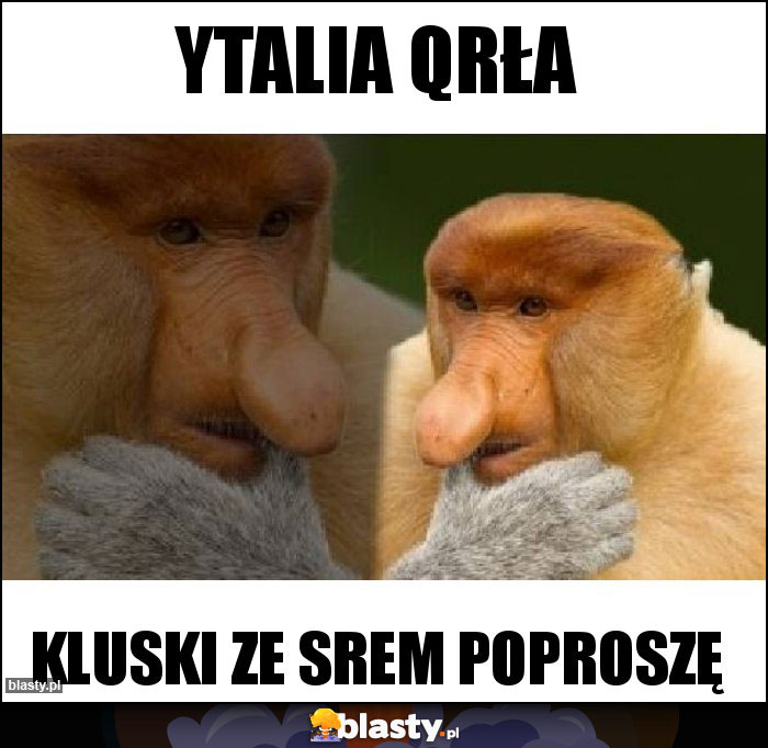 Ytalia qrła