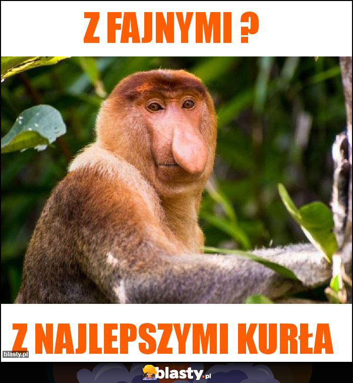 Z fajnymi ?