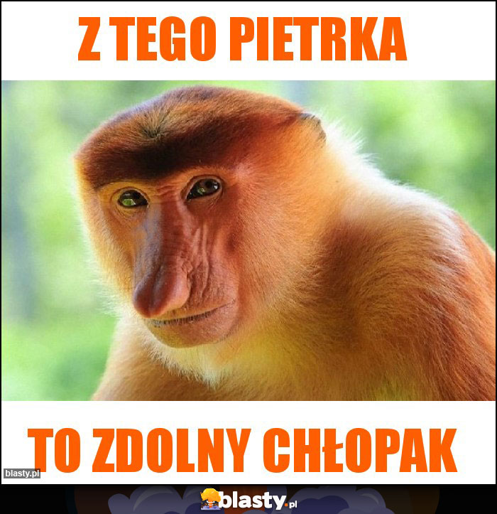 Z tego Pietrka