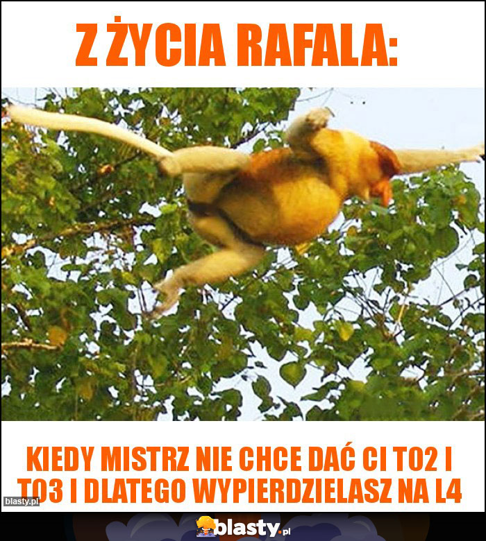 Z życia rafala: