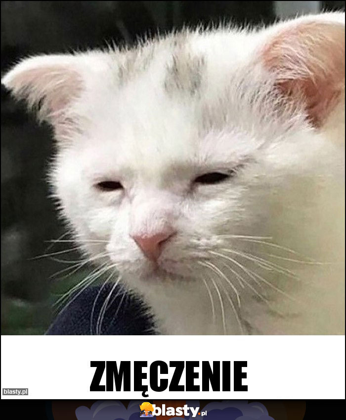 Zmęczenie