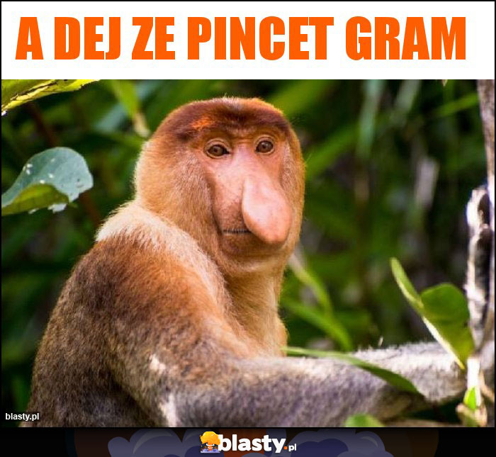 A dej ze pincet gram