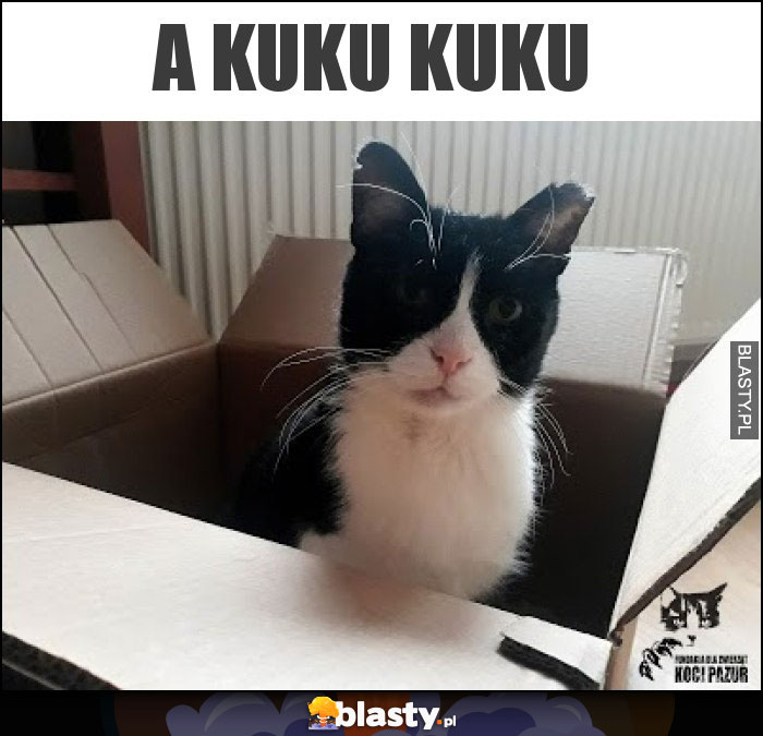 A kuku kuku