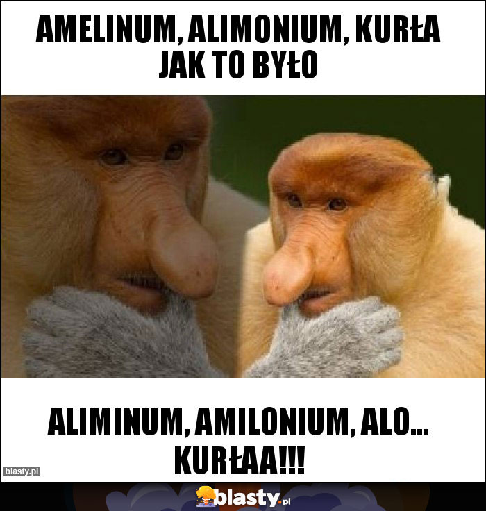 Amelinum, alimonium, kurła jak to było