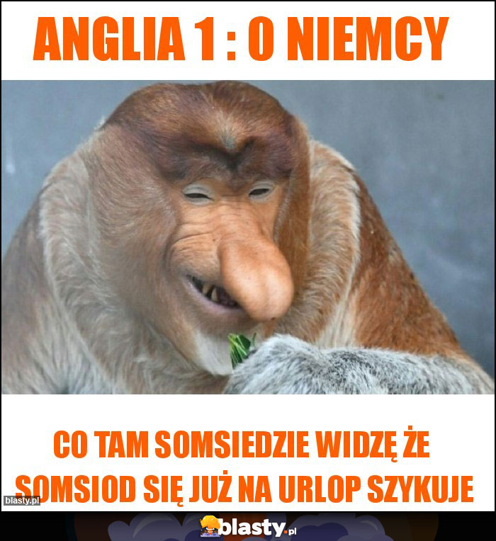 ANGLIA 1 : 0 NIEMCY