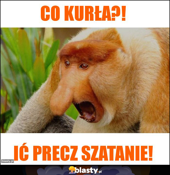 CO KURŁA?!