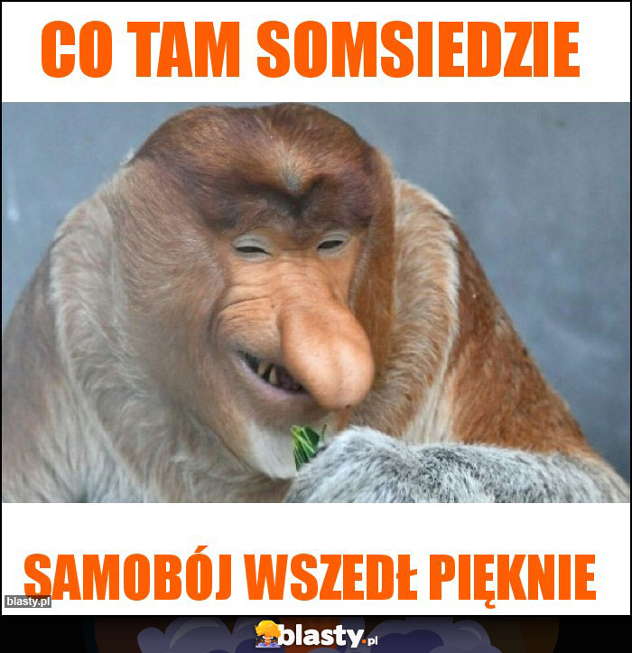 Co tam somsiedzie