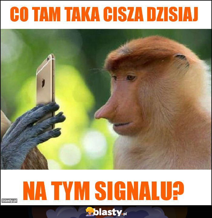 CO TAM TAKA CISZA DZISIAJ