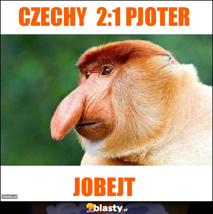 Czechy  2:1 Pjoter