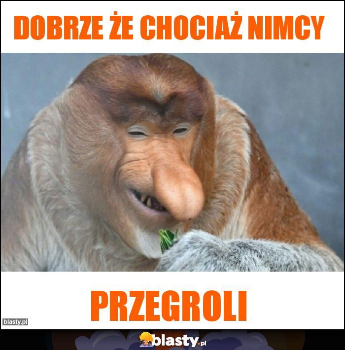 Dobrze że chociaż nimcy