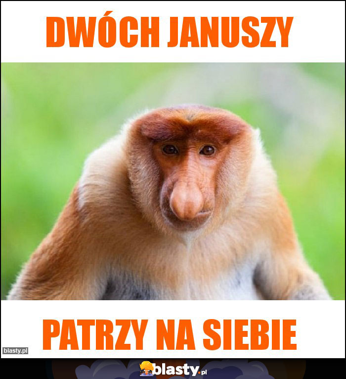 DWÓCH JANUSZY