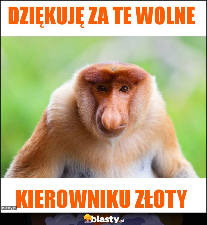 Dziękuję za te wolne