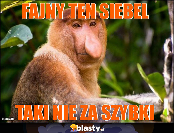 Fajny ten Siebel