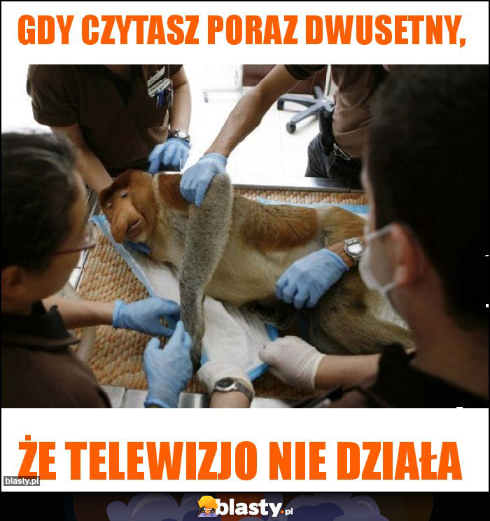 Gdy czytasz poraz dwusetny,