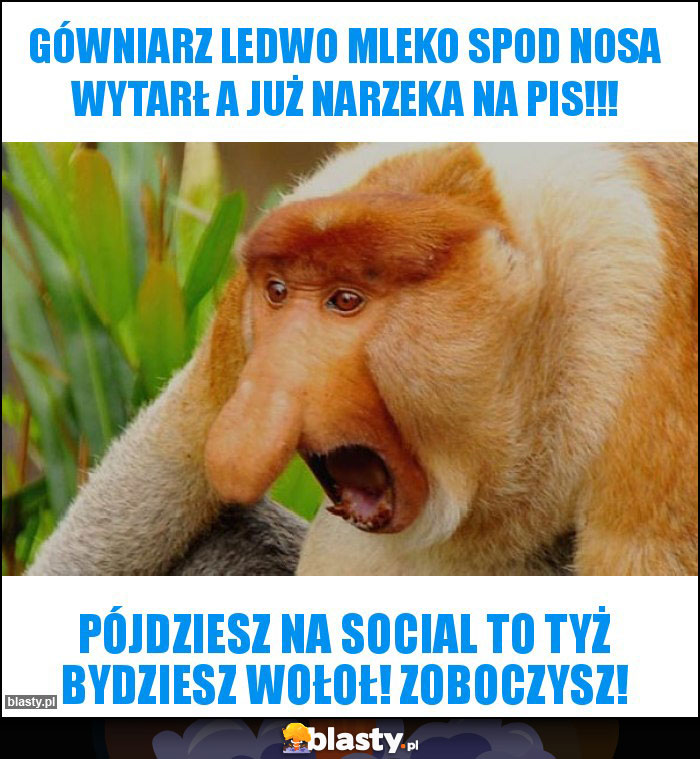 Gówniarz ledwo mleko spod nosa wytarł A już narzeka na PiS!!!