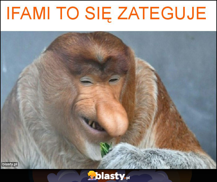 ifami to się zateguje