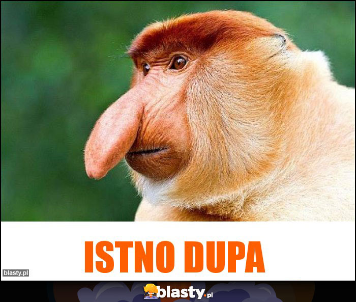 Istno Dupa