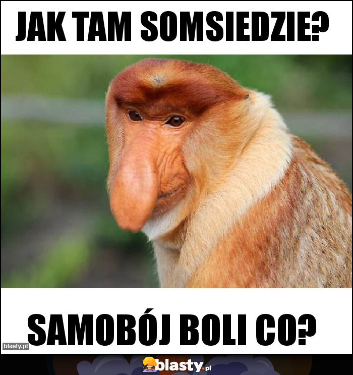 Jak tam somsiedzie?