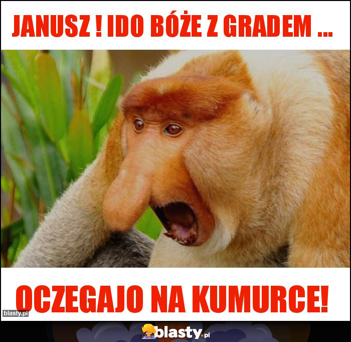 Janusz ! Ido bóże z gradem ...