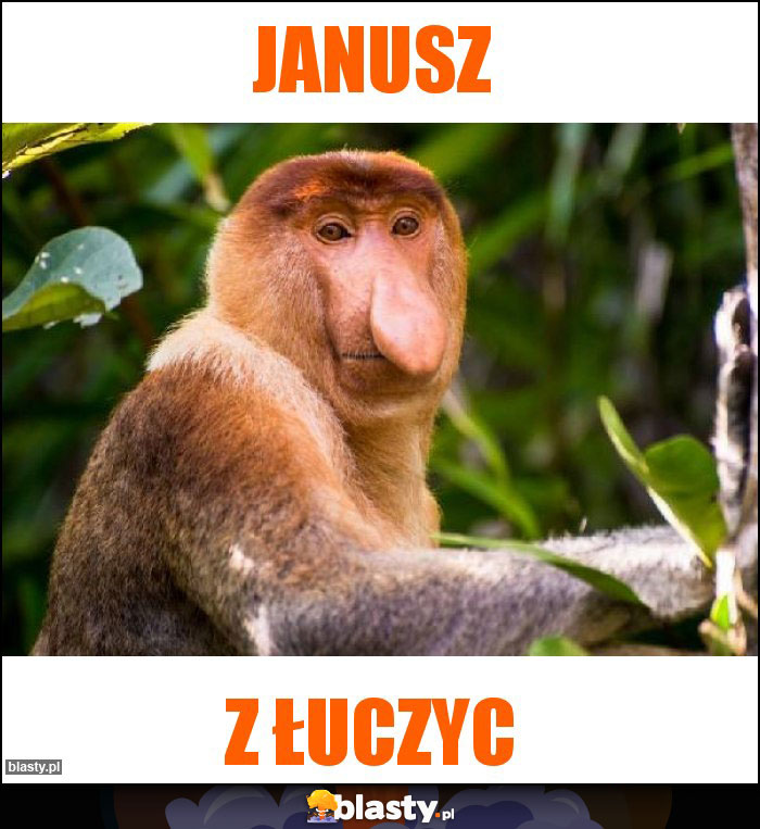 janusz