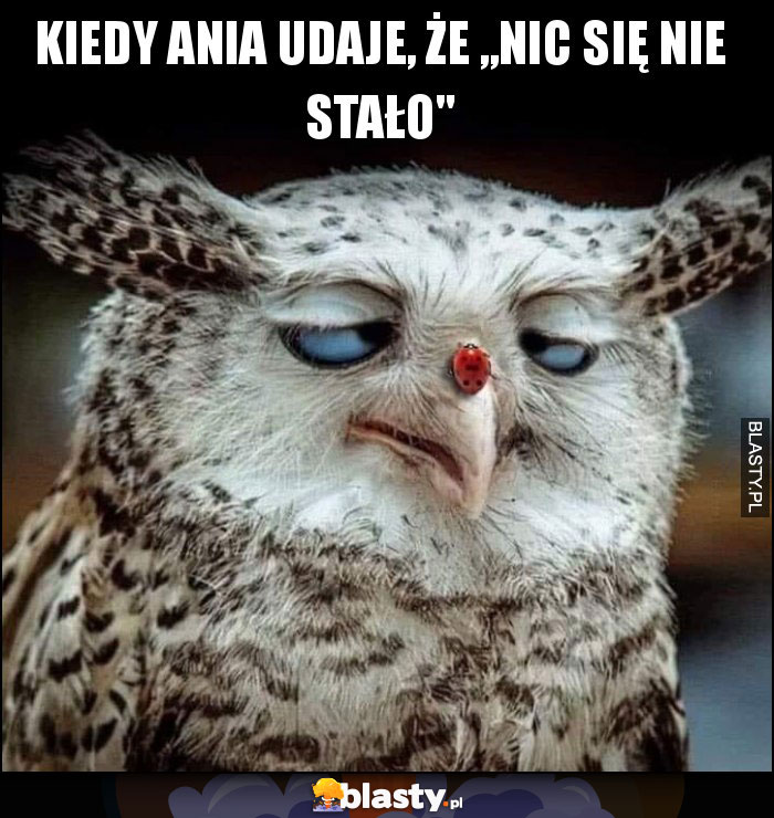 Kiedy Ania udaje, że „nic się nie stało