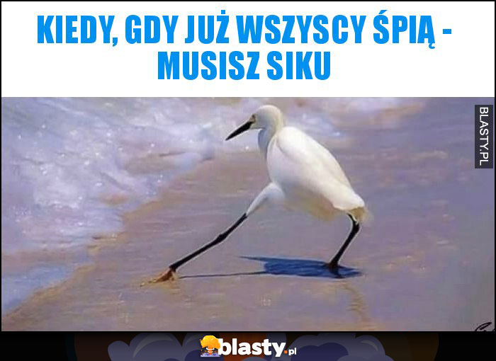 Kiedy, gdy już wszyscy śpią - musisz siku