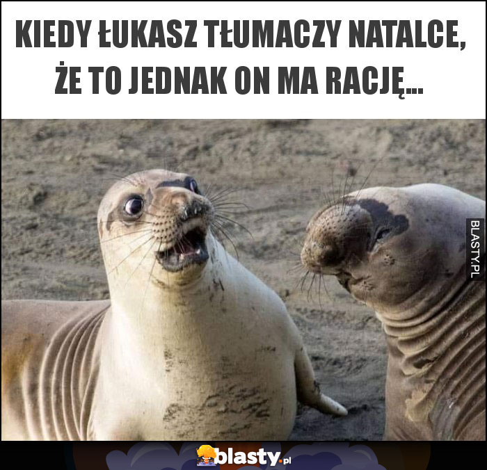 Kiedy Łukasz tłumaczy Natalce, że to jednak on ma rację...