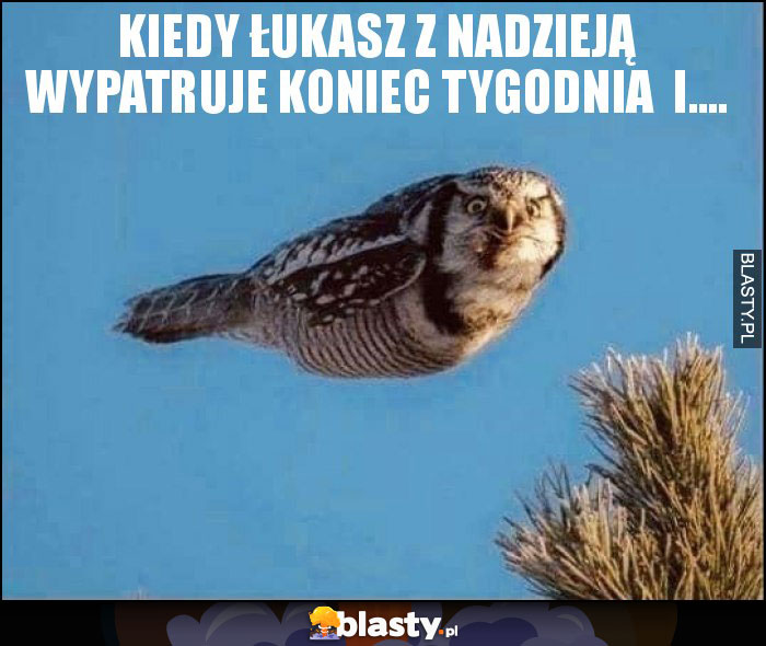 Kiedy Łukasz z nadzieją wypatruje koniec tygodnia  i....