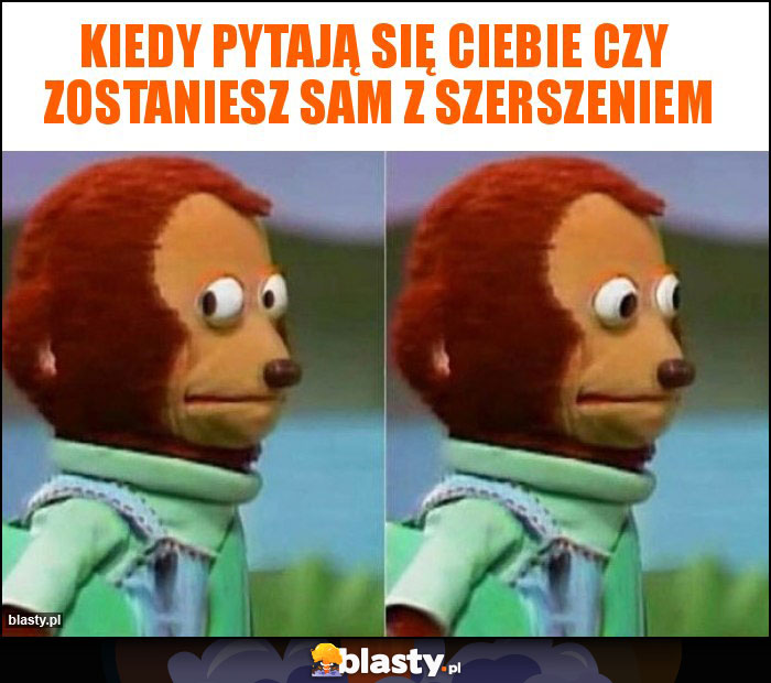 Kiedy pytają się ciebie czy  zostaniesz sam z szerszeniem