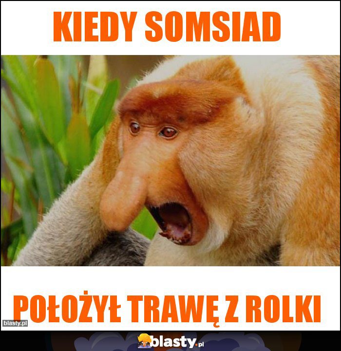 Kiedy somsiad