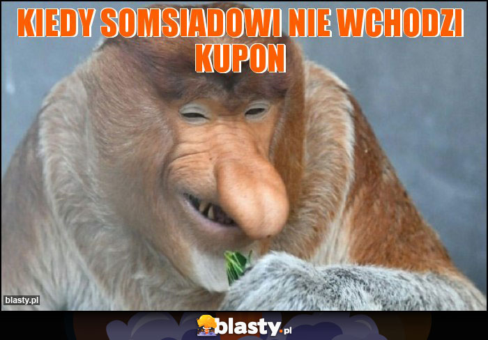 Kiedy somsiadowi nie wchodzi kupon