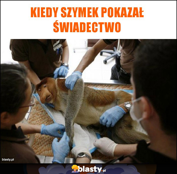 Kiedy Szymek pokazał świadectwo