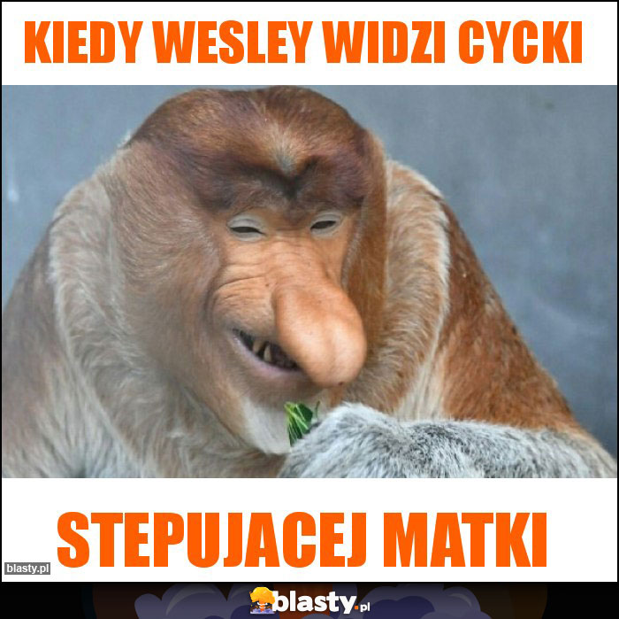 Kiedy Wesley Widzi Cycki