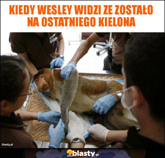 Kiedy Wesley widzi ze zostało na ostatniego KIelona