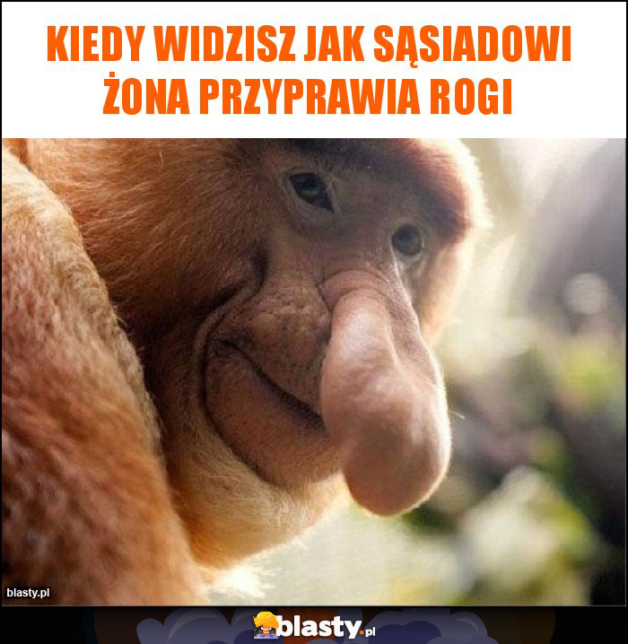 Kiedy widzisz jak sąsiadowi żona przyprawia rogi