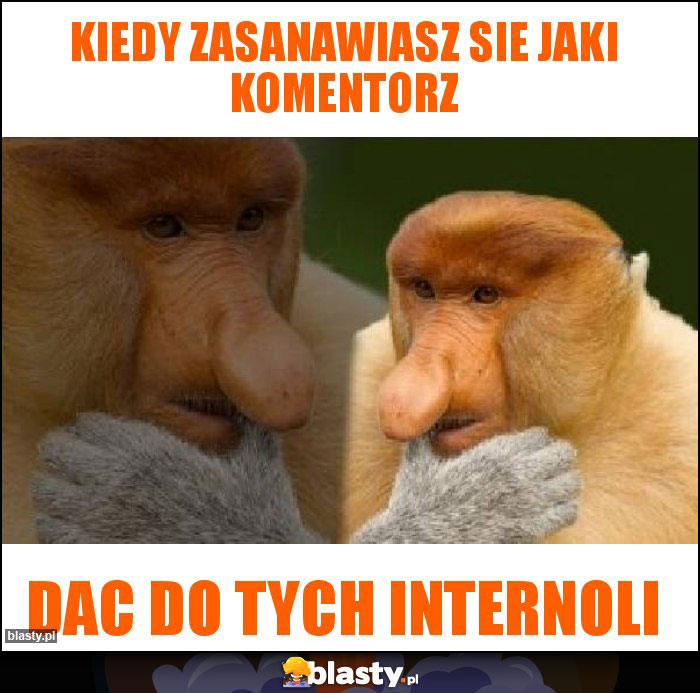 Kiedy zasanawiasz sie jaki komentorz