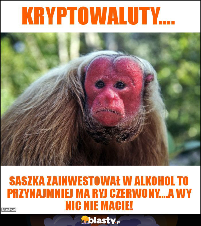 Kryptowaluty....