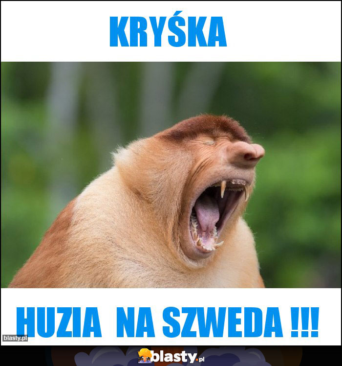 Kryśka