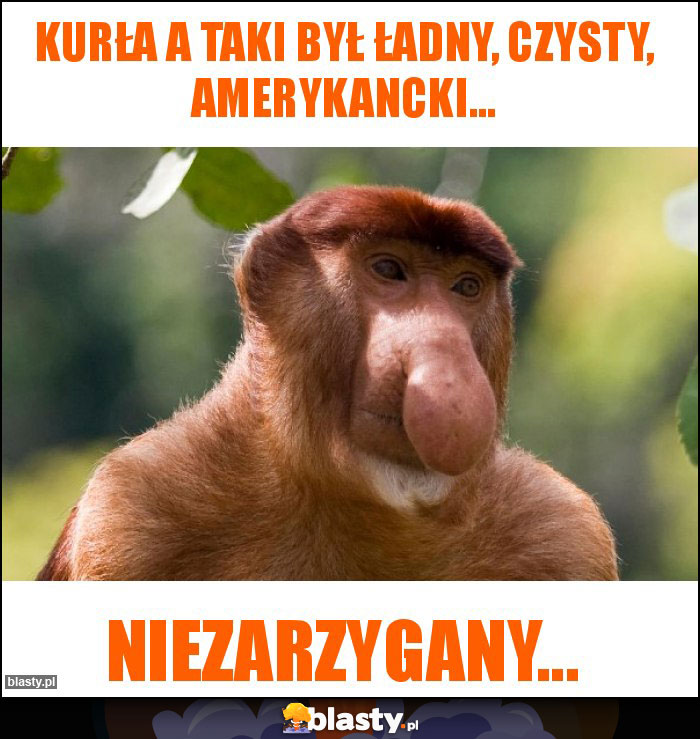 Kurła a taki był ładny, czysty, amerykancki...