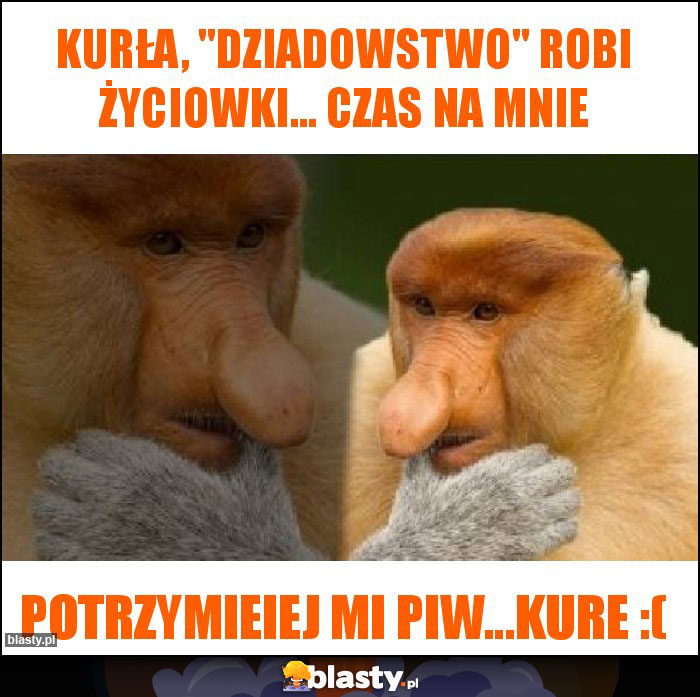 Kurła, 