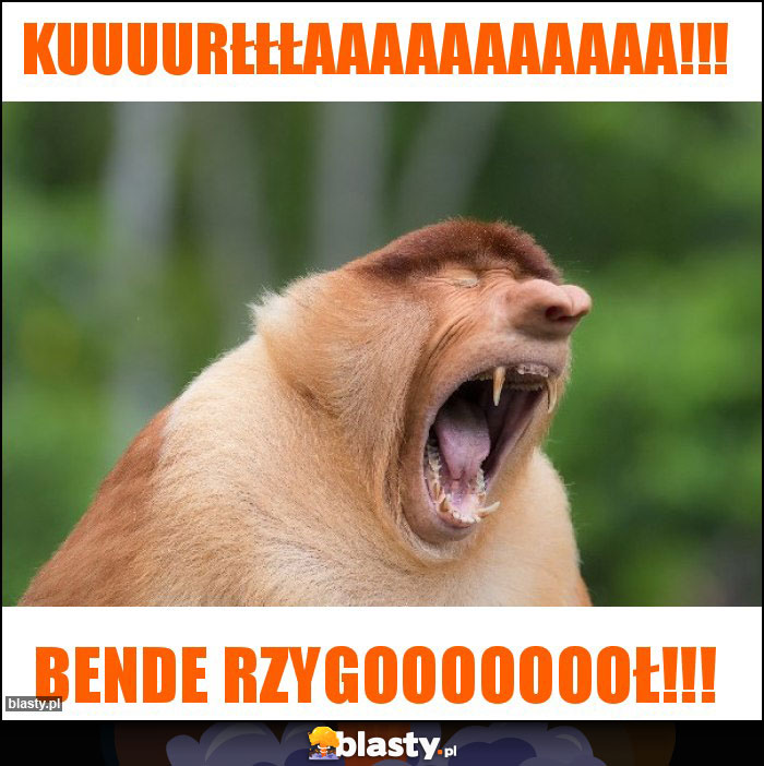 Kuuuurłłłaaaaaaaaaaa!!!